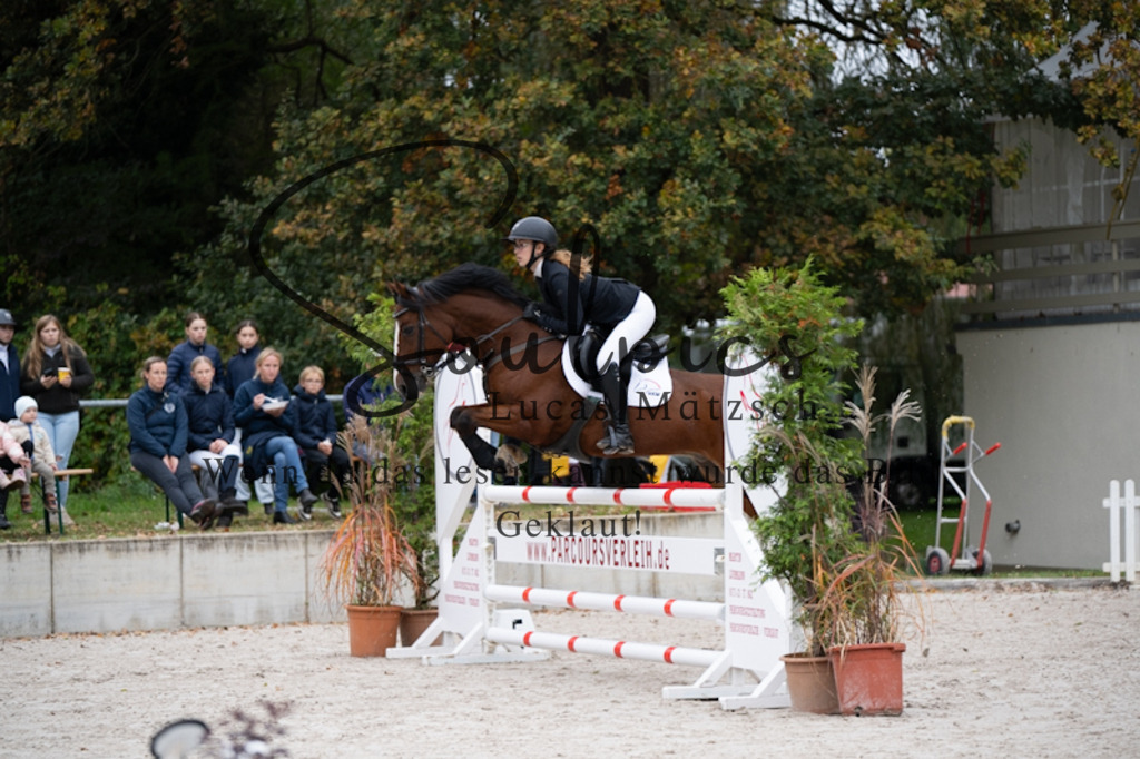 A7V09875 | Pferdefotograf