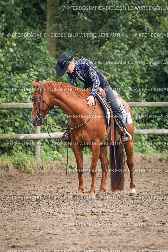 DSC02071 | Pferdegrafie