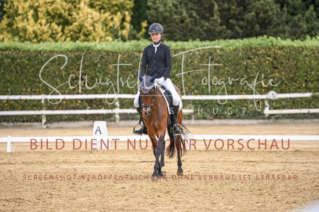 Schugtsche-Aluta25-43.EDressur -138 | Schugtsche Fotografie - Realisiert mit Pictrs.com