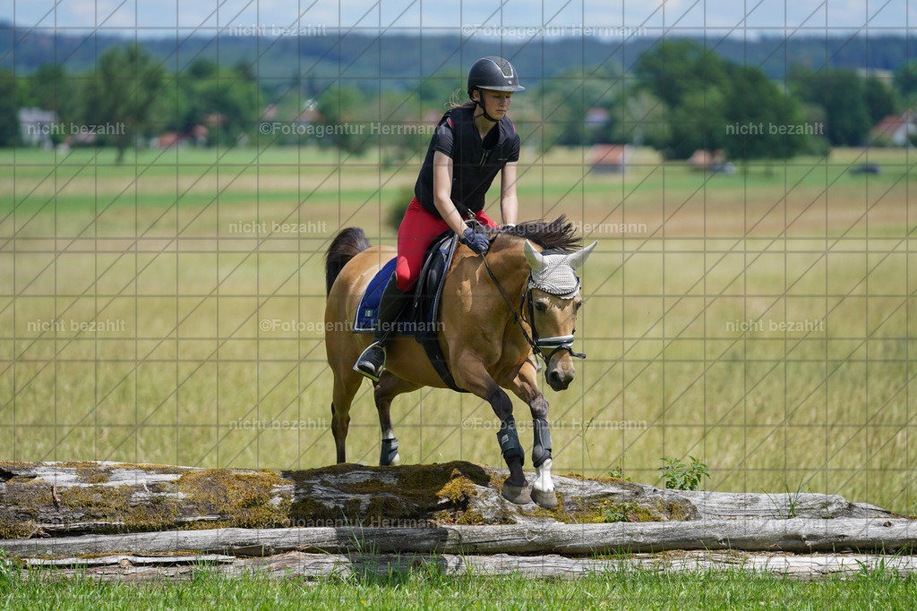 20240622-FAH07299 | Turnierfotografen Bayern, Reitsportbilder aus dem Geländekurs mit Felix Etzel auf dem Gut Waitzacker 2024