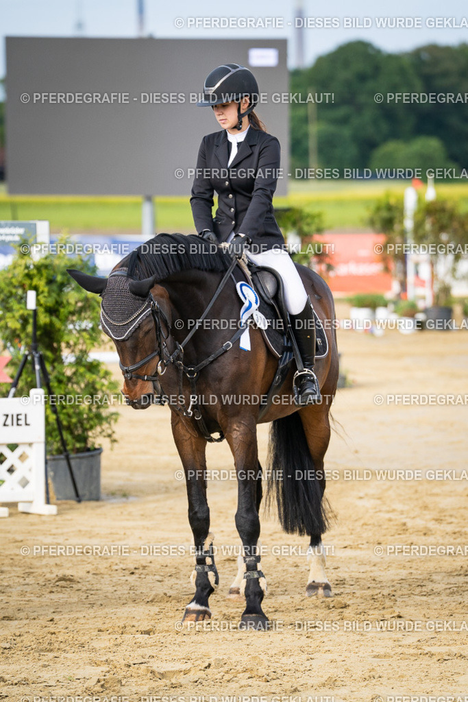 DSC03144 | Pferdegrafie