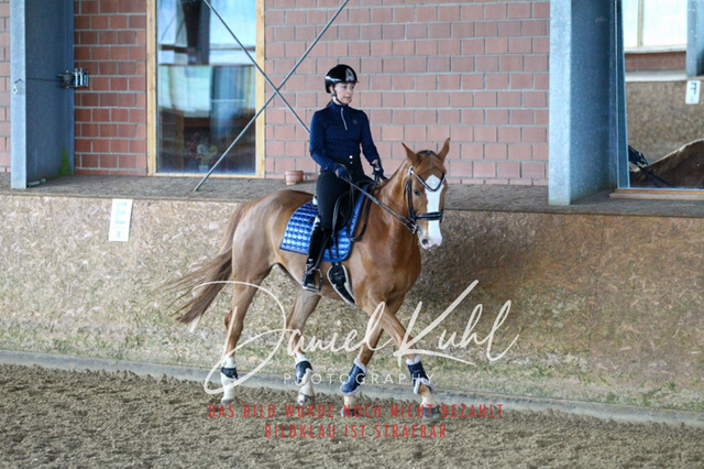 DKP42629 | Turniersportfotografie; Pferdefotografie; Dressurfotografie