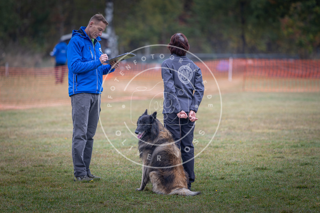 Pfotenfotografie_DV3A9287 | Hundefotografie, Tierfotograf, Pfotenfotografie, Fotoshooting Hund, Hunde Portrait, Hundesport, Hundeportraits, Heideshooting, Hunde, Sportfotograf, Hundefotograf, Turnierhundsport, THS,  - Realisiert mit Pictrs.com