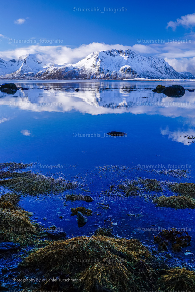 _DSC1511 | tuerschis_fotografie - Realisiert mit Pictrs.com