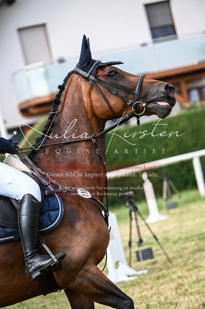 DSC_7849 | Pferde- und Turnierfotografie in Westsachsen. Pferdeportraits, Auftragszeichnungen und intuitive Kunst.