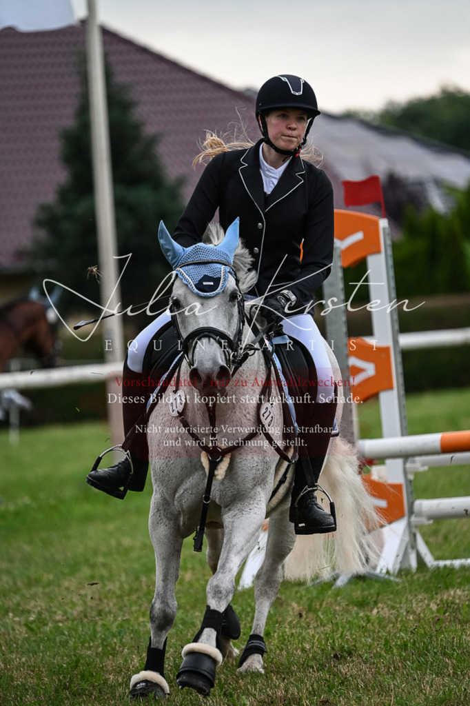 DSC_8513 | Pferde- und Turnierfotografie in Westsachsen. Pferdeportraits, Auftragszeichnungen und intuitive Kunst.