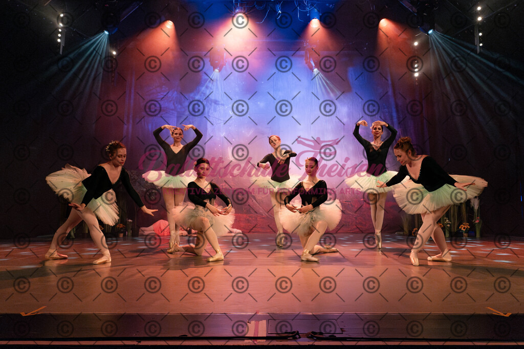 Ballettaufführung-1097 | Bildershop Lem'n Entertainment - Realisiert mit Pictrs.com