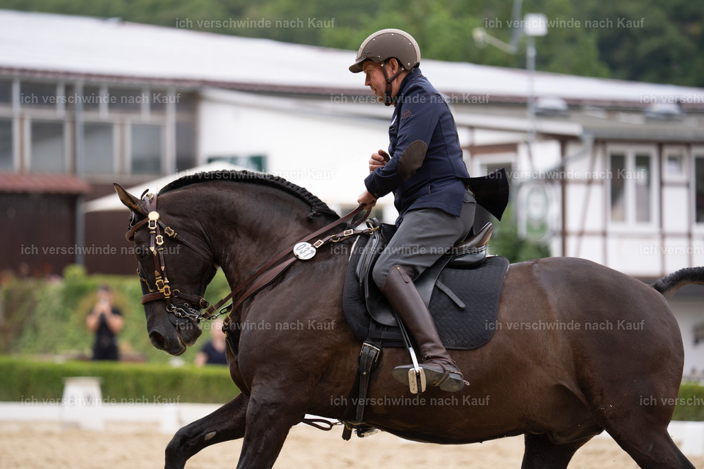 WS_DR_37_sinafilmart_IN01973 | working equitationturnier fotograf videograf stoibphotography marixx film working equitation deutschland reitsport turnierfotografie eventfotografie equestrian events