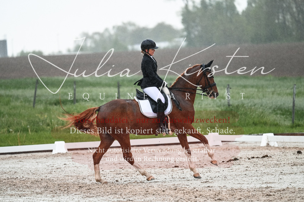 DSC_4631 | Pferde- und Turnierfotografie in Westsachsen. Pferdeportraits, Auftragszeichnungen und intuitive Kunst.