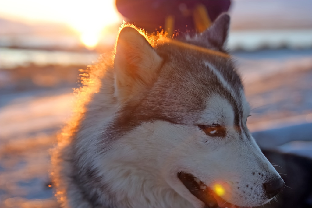 IMG_1871a | ansichtssache