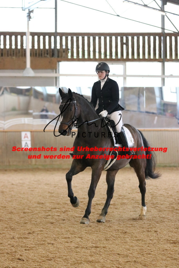 IMG_6506 | lmwpictures - Realisiert mit Pictrs.com