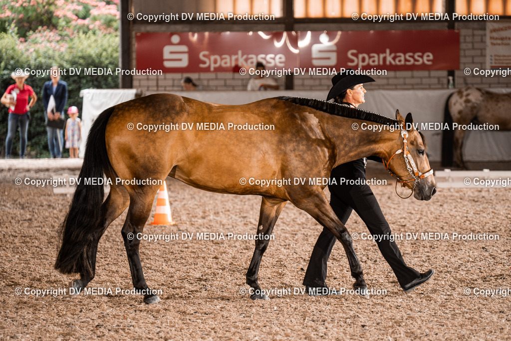 ZH200233 | dv-media-shop - Realisiert mit Pictrs.com