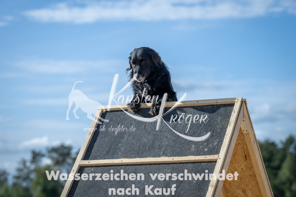 1435_ZZ91603 | kk-dogfotos