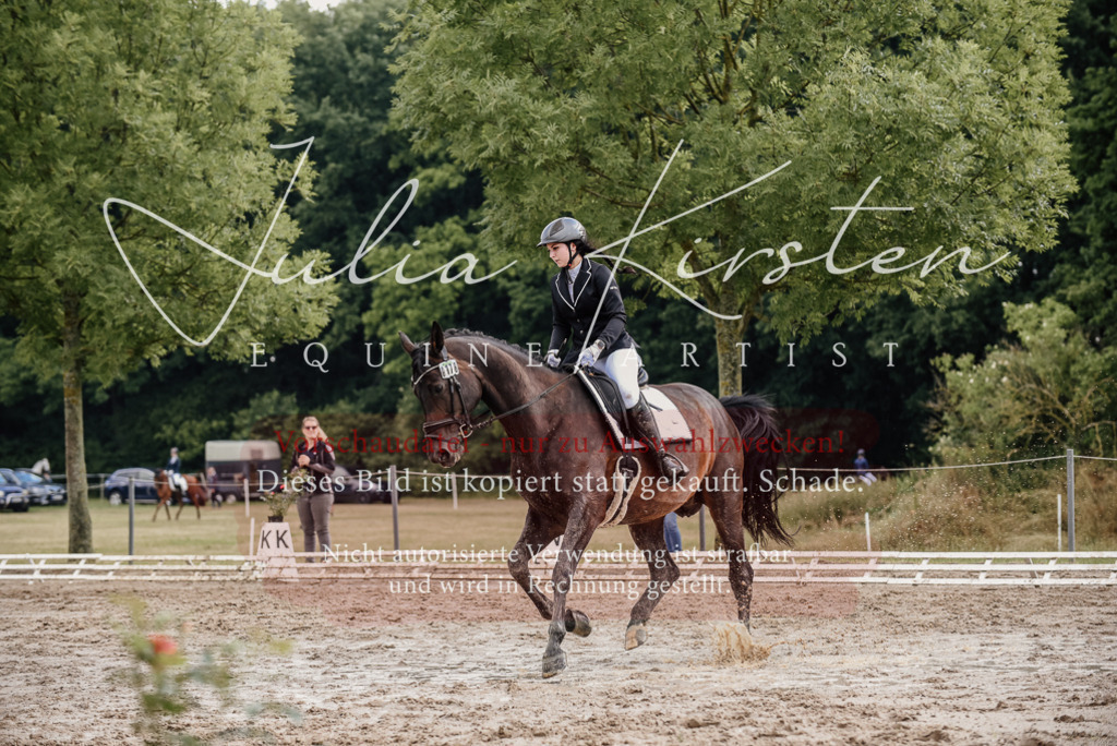 DSC_8653 | Pferde- und Turnierfotografie in Westsachsen. Pferdeportraits, Auftragszeichnungen und intuitive Kunst.