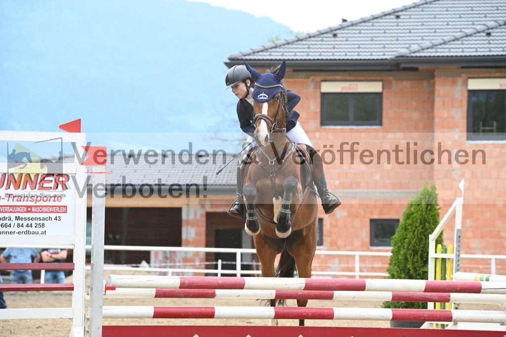 DSC_8117 | equestrian-live-com