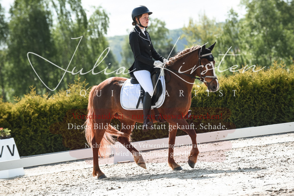20230518_JK-Röhrsdorf-09-1533 | Pferde- und Turnierfotografie in Westsachsen. Pferdeportraits, Auftragszeichnungen und intuitive Kunst.