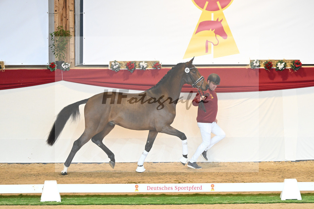 Kat-Nr. 59 Fuerst Samarant_Reesink Horses_1230376 | hf-fotografie - Realisiert mit Pictrs.com