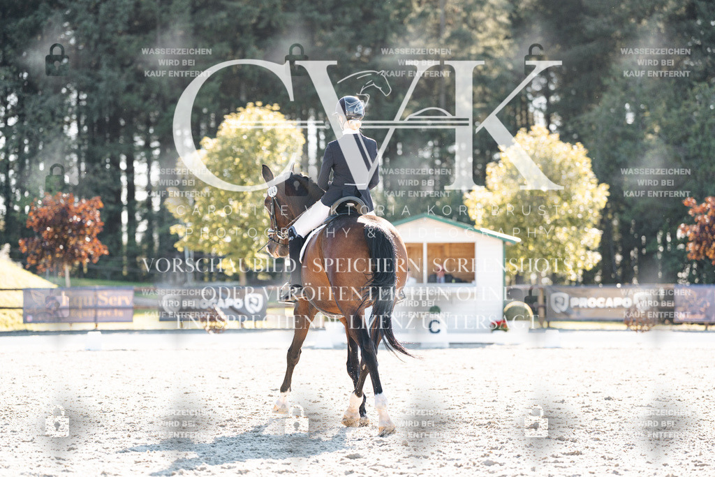 CK906471 | Turnierfotografie Pferdefotografie Trier Rheinland-Pfalz Pferdesport Reitsport Tierfotografie Sportfotografie Pferdevideo Pferdevideografie Equestrianvideography equestrianphotography  - Realisiert mit Pictrs.com
