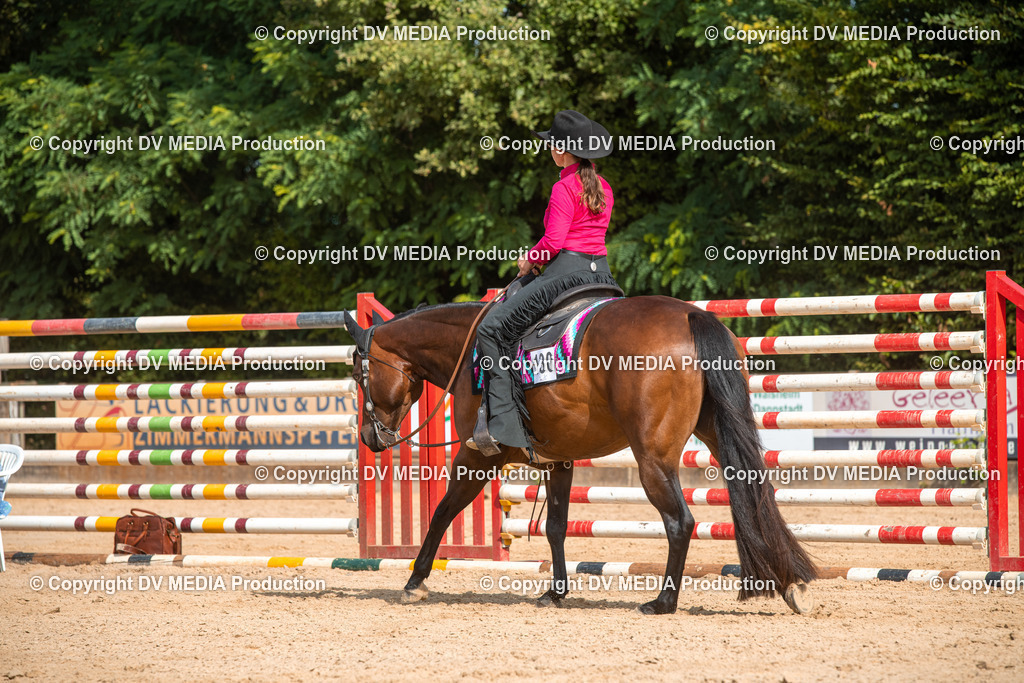 EWP_5800 | dv-media-shop - Realisiert mit Pictrs.com