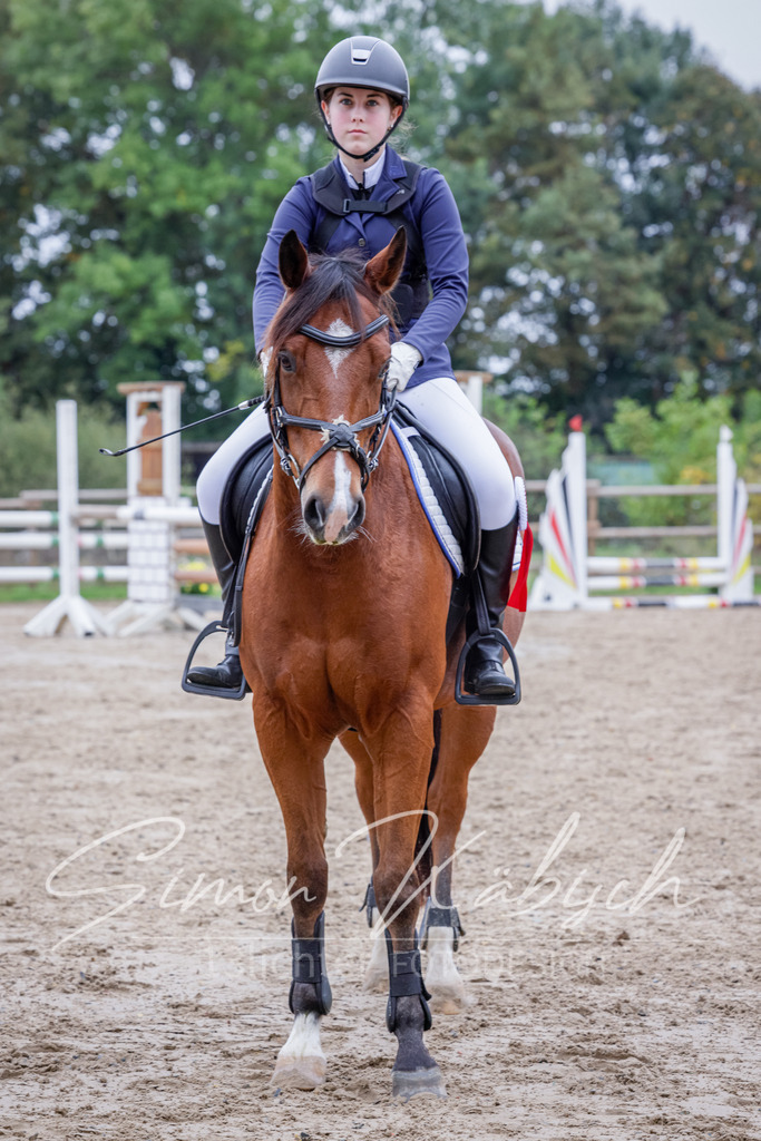 20251012-_3LI3073 | Tierfotografie Pferde, Hunde, Katzen, Haustiere.
Turnierfotografie Reitturniere, Reiten, Springreiten, Dressur in Hanau, dem Main-Kinzig-Kreis und dem Rhein-Main- Gebiet um Frankfurt