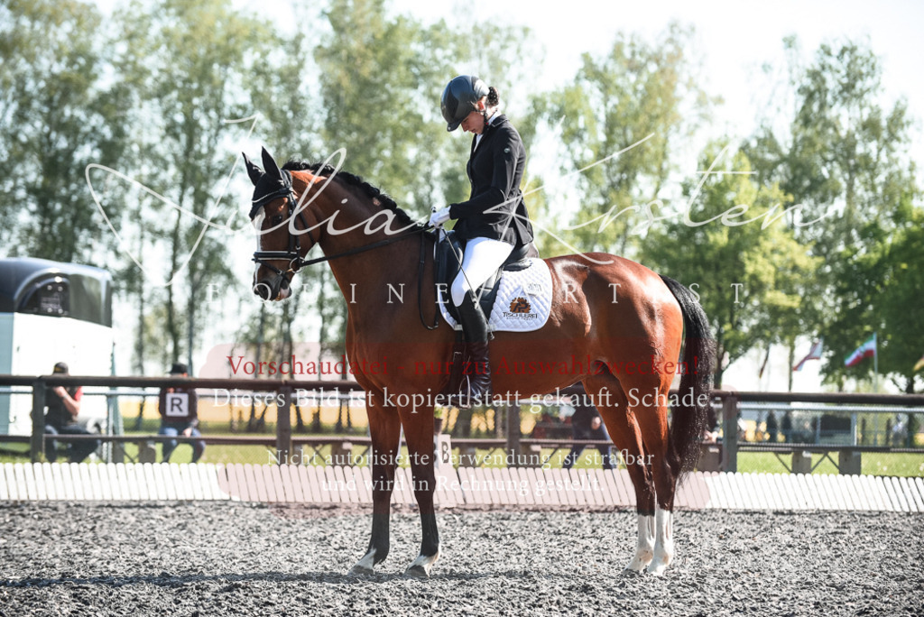DSC_8647 | Pferde- und Turnierfotografie in Westsachsen. Pferdeportraits, Auftragszeichnungen und intuitive Kunst.