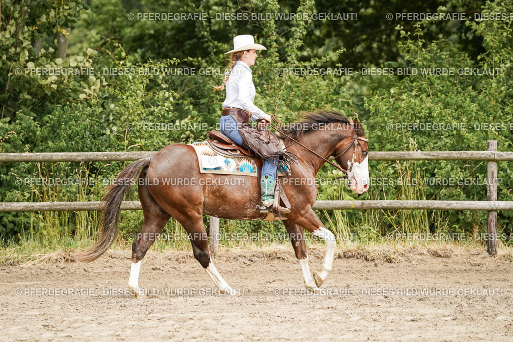 DSC09164 | Pferdegrafie