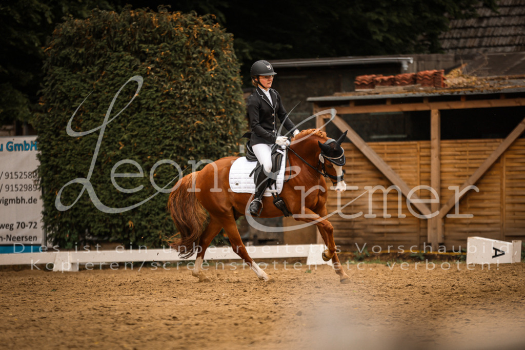 DoDrE00479 | Leoni Ertmer Photography - Realisiert mit Pictrs.com