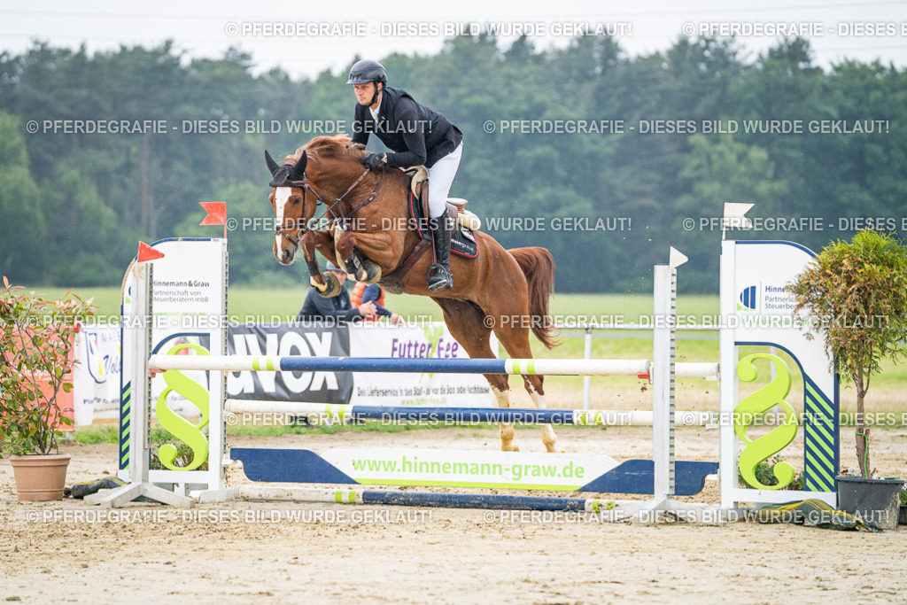 DSC00677 | Pferdegrafie