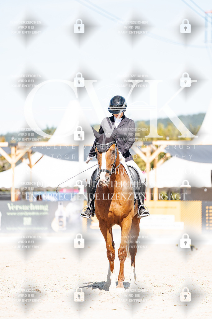 CK908788 | Turnierfotografie Pferdefotografie Trier Rheinland-Pfalz Pferdesport Reitsport Tierfotografie Sportfotografie Pferdevideo Pferdevideografie Equestrianvideography equestrianphotography  - Realisiert mit Pictrs.com