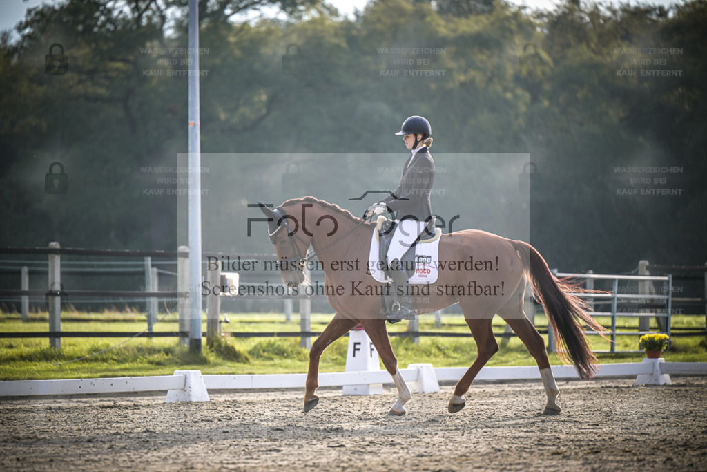 DOS_3186 | Entdecke hochwertige Reitturnierfotos von Foto Oger. Professionell, emotional und authentisch – jetzt Lieblingsmomente im Shop bestellen. - Realisiert mit Pictrs.com
