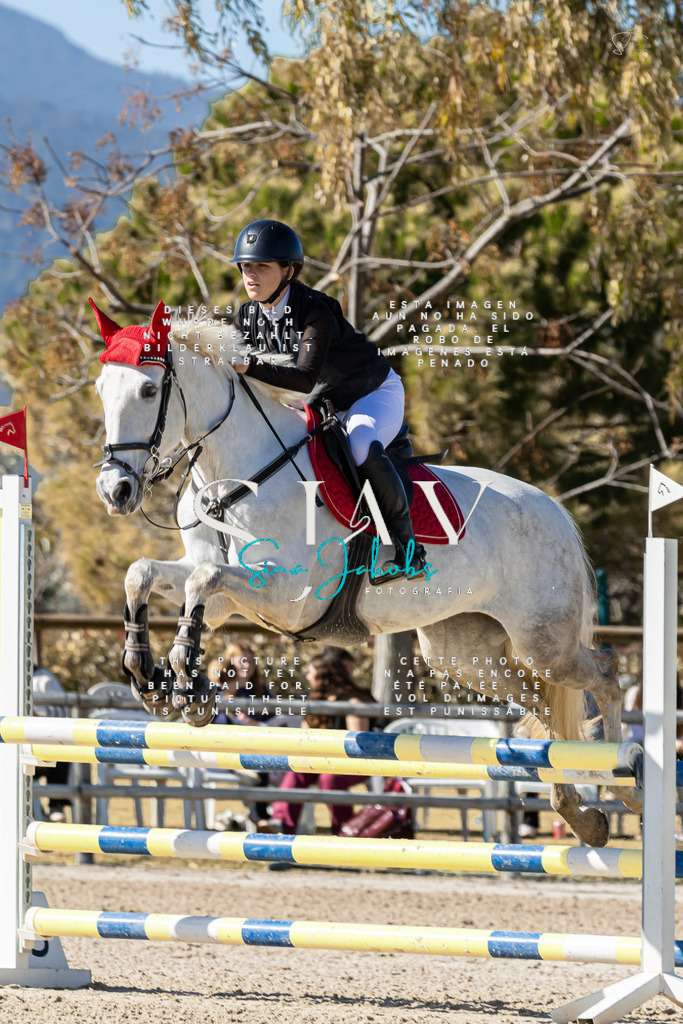 IMG_0593 | s-jay-photography - Realisiert mit Pictrs.com