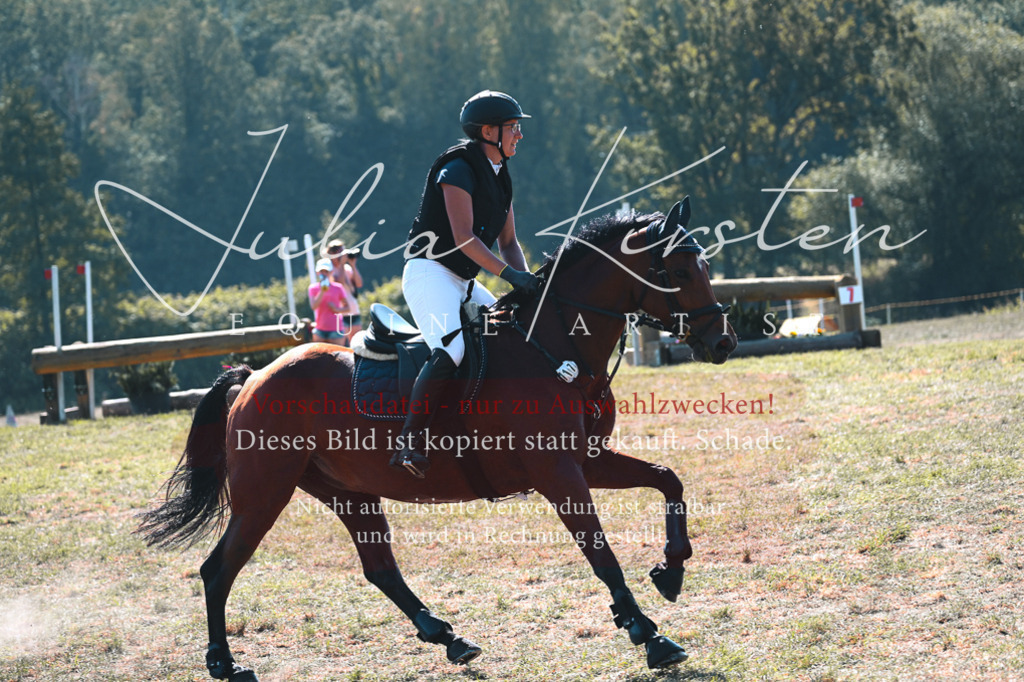 DSC_7882 | Pferde- und Turnierfotografie in Westsachsen. Pferdeportraits, Auftragszeichnungen und intuitive Kunst.