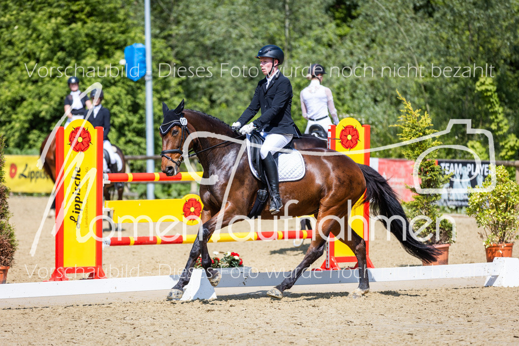 Donop24-L-Dre-072 | MomenTaufnahmen Pferdesportfotos