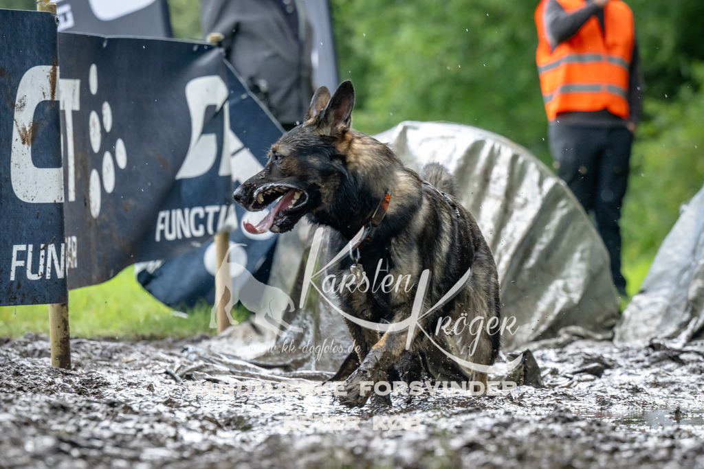 1147_ZZ94268 | kk-dogfotos