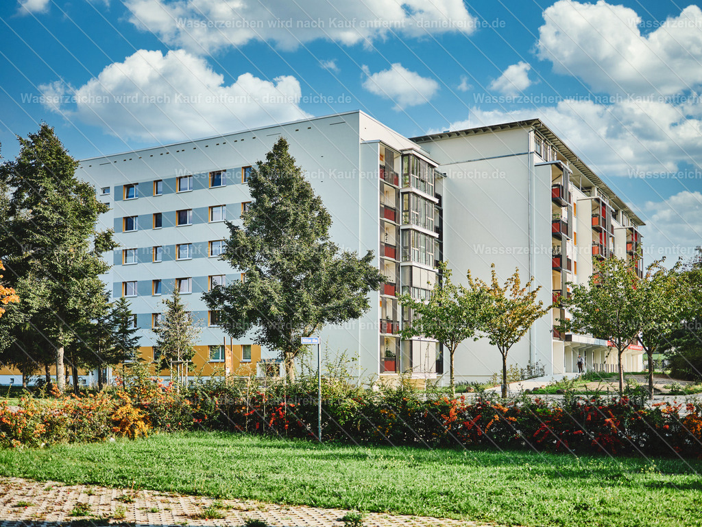 Leipzig Grünau Sommer 2022 | Leipzig Grünau Sommer 2022 - Realisiert mit Pictrs.com