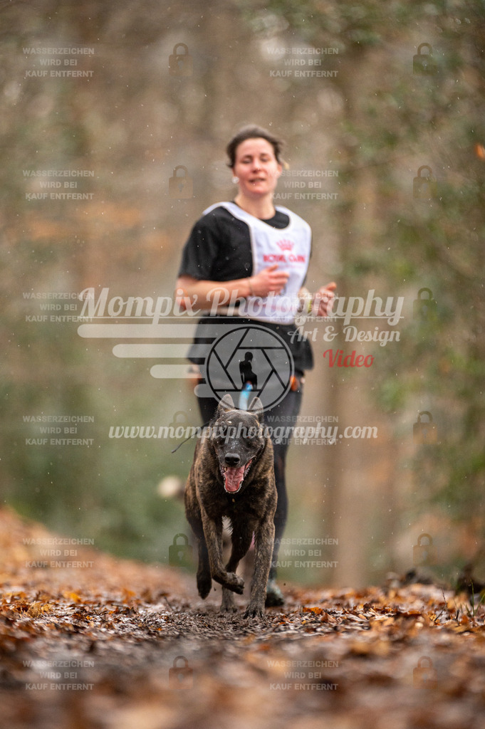 SPA_2023_DIM_CCL-52 | PayLife