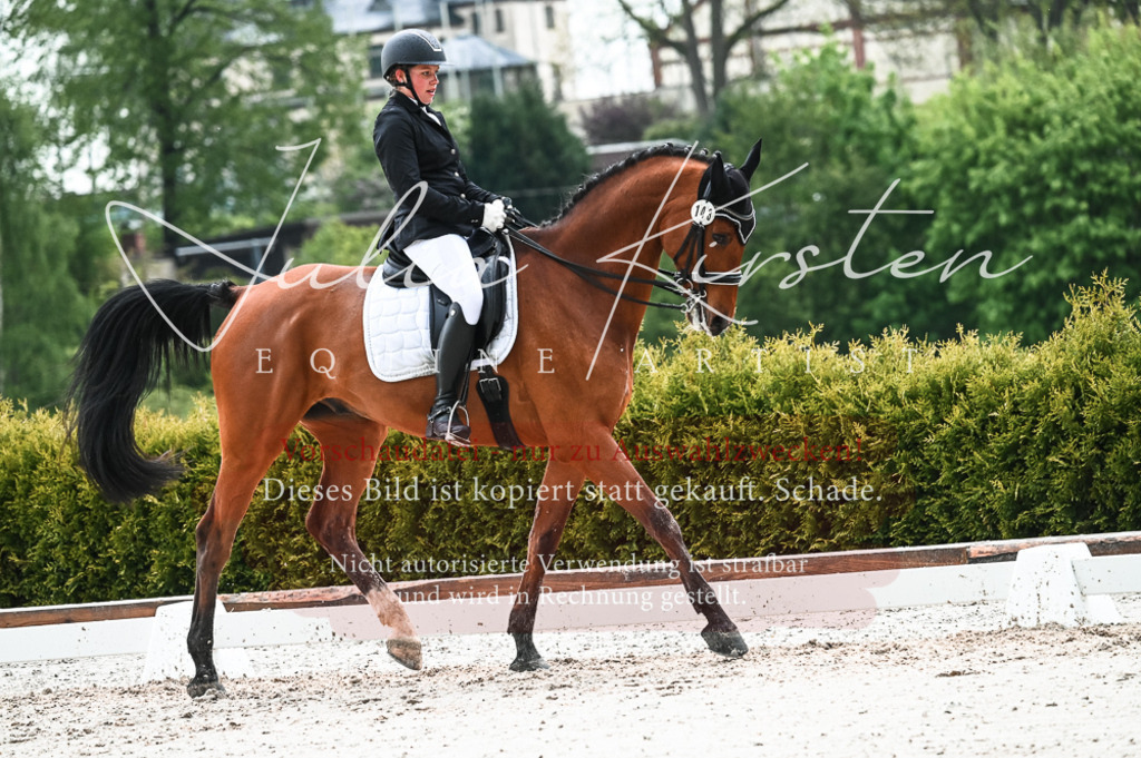 DSC_4386 | Pferde- und Turnierfotografie in Westsachsen. Pferdeportraits, Auftragszeichnungen und intuitive Kunst.