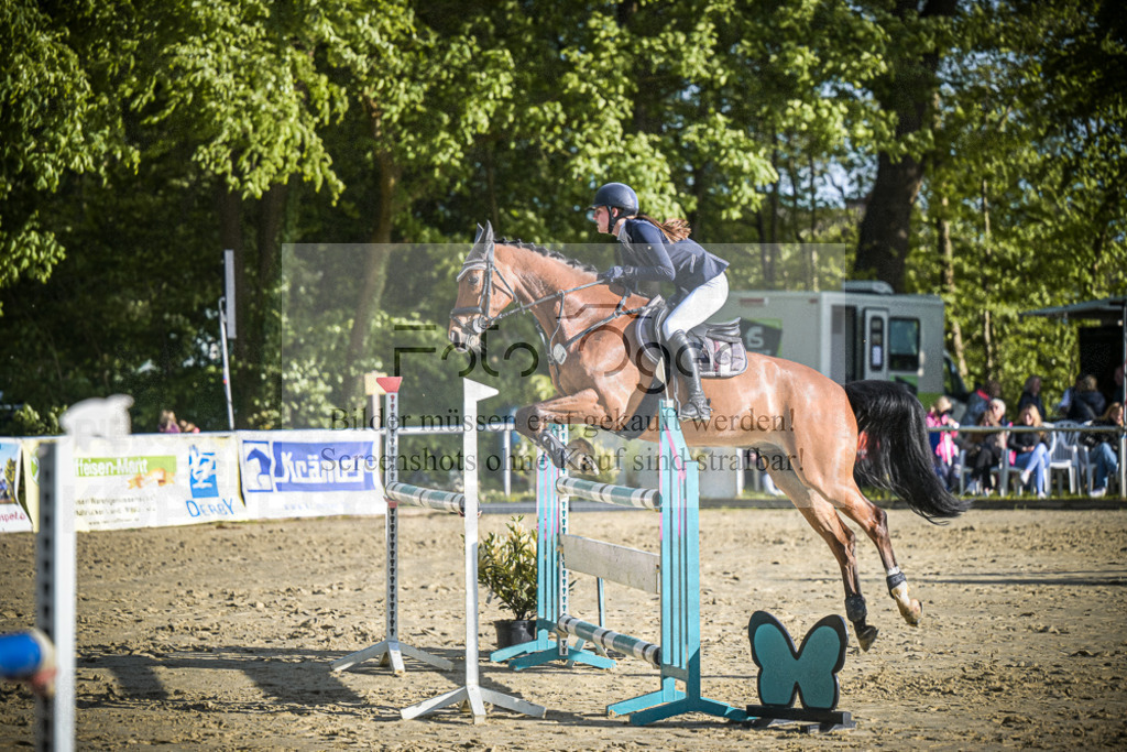 DOS_3812 | Entdecke hochwertige Reitturnierfotos von Foto Oger. Professionell, emotional und authentisch – jetzt Lieblingsmomente im Shop bestellen.Deutschlandweite Turnierfotografie. - Realisiert mit Pictrs.com