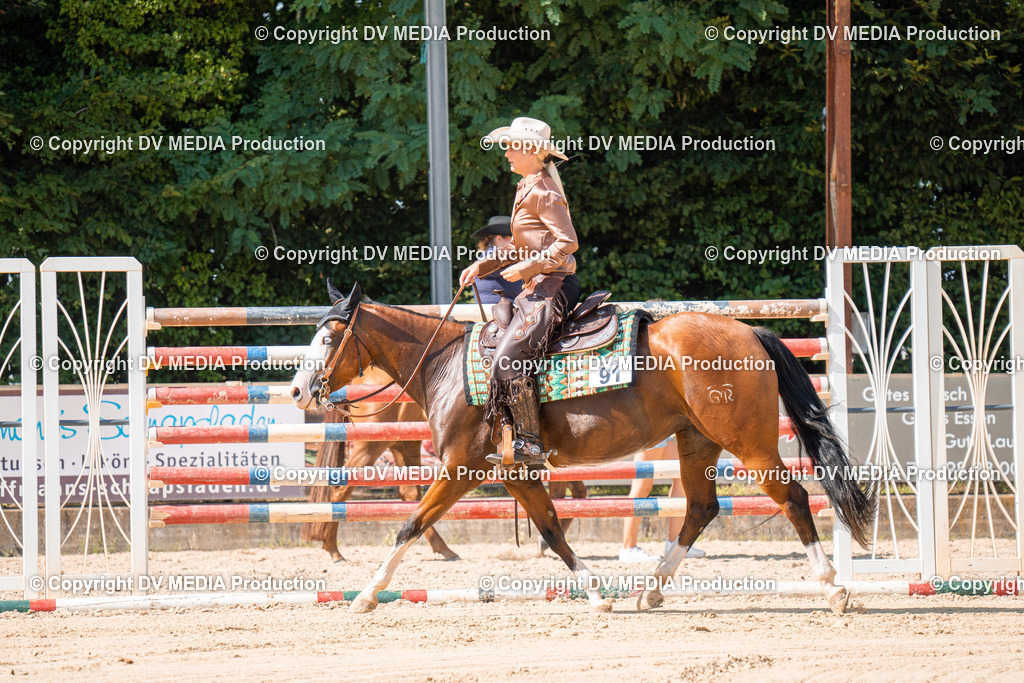 ZH100687 | dv-media-shop - Realisiert mit Pictrs.com