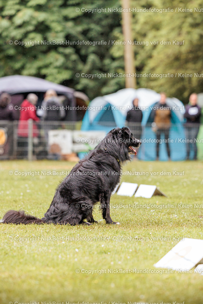 RO-Blumenthal-2026-Nickbest-Hundefotografie-3861 | Dein Hund! Dein Moment! Deine Erinnerungen! Hundefotografie in Bremen Blumenthal. Ich fange die besonderen Momente deines Vierbeiners ein – ob Indoor mit Blitzanlage oder in der freien Natur. Sicher dir dein Moment und dein Termin für eure Erinnerungen.