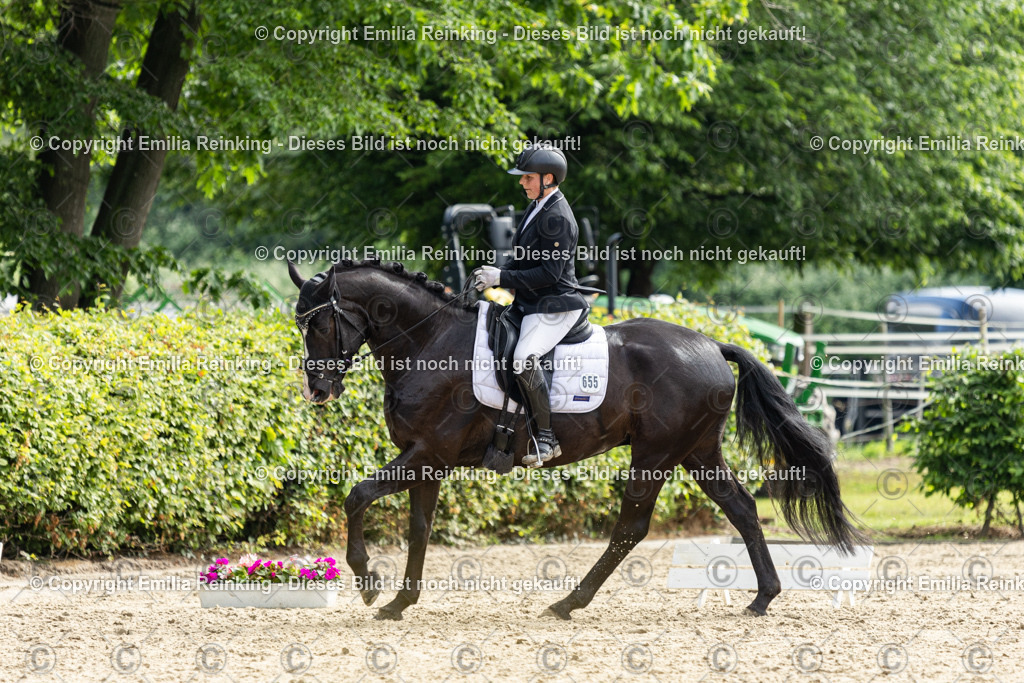 CL5A5508 | Emilia Reinking Fotografie - Realisiert mit Pictrs.com