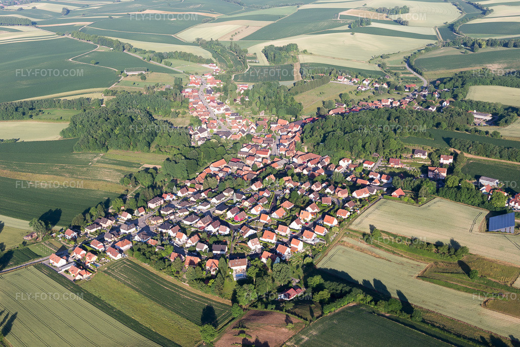 Aerial view: View of the town in Neewiller-près-Lauterbourg in the state Bas-Rhin, France.Photo: IMG_100953.jpg taken on 06/17/2017 by Werner Riehm/FLY-FOTO.comResolution of the original: 5472 x 3648 px
