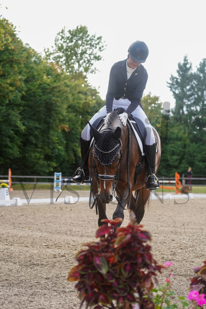 rveinoedsamstag (1786) | d.tail Visions - Shop - Realisiert mit Pictrs.com