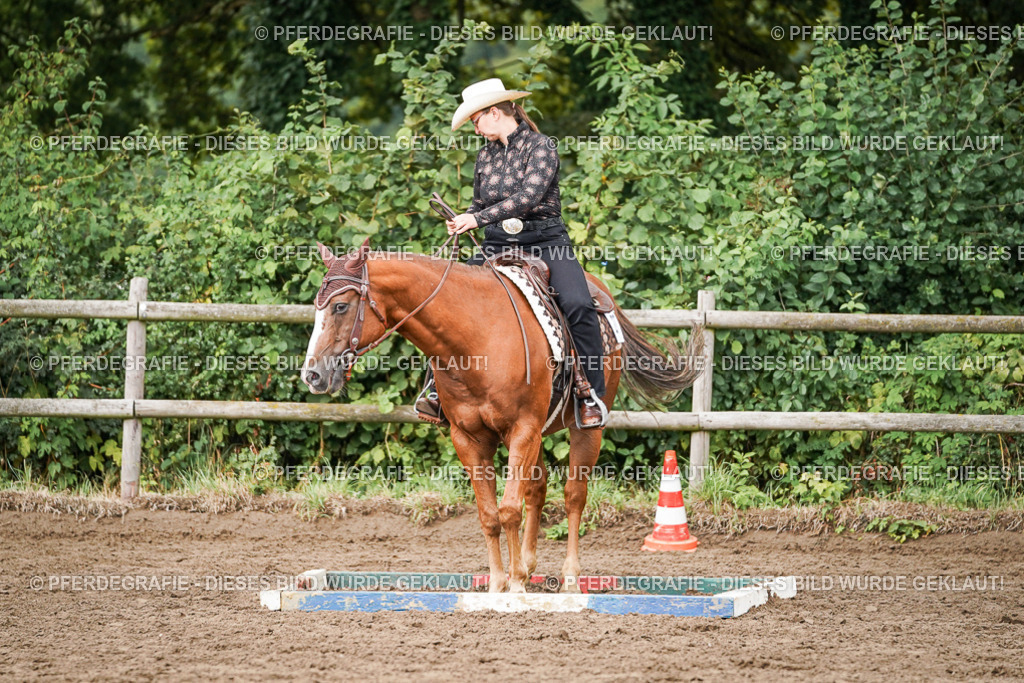 DSC04002 | Pferdegrafie