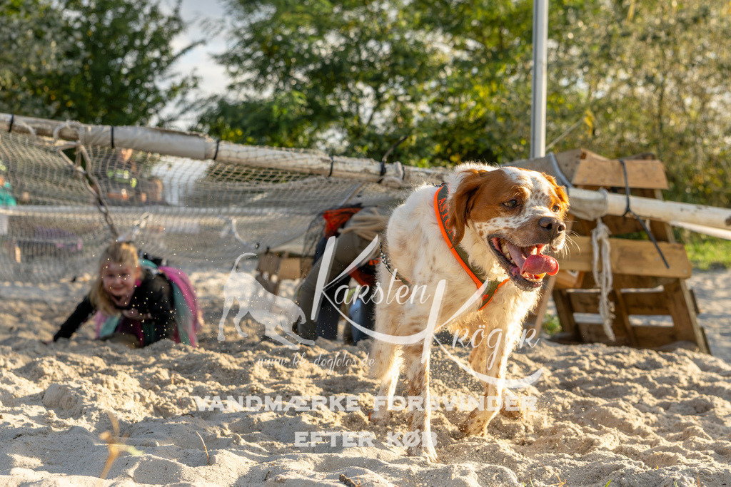 1646_ZZ99310 | kk-dogfotos