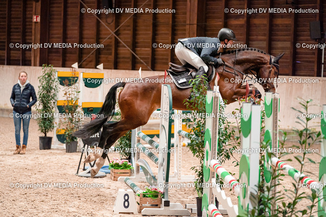 Springen Tag 1-19 | dv-media-shop - Realized with Pictrs.com