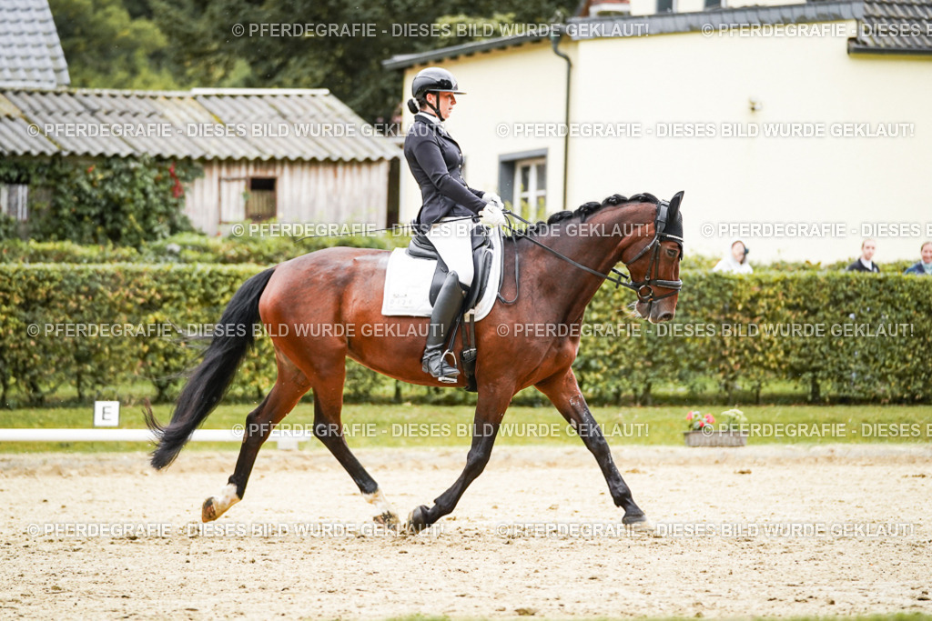 DSC07453 | Pferdegrafie