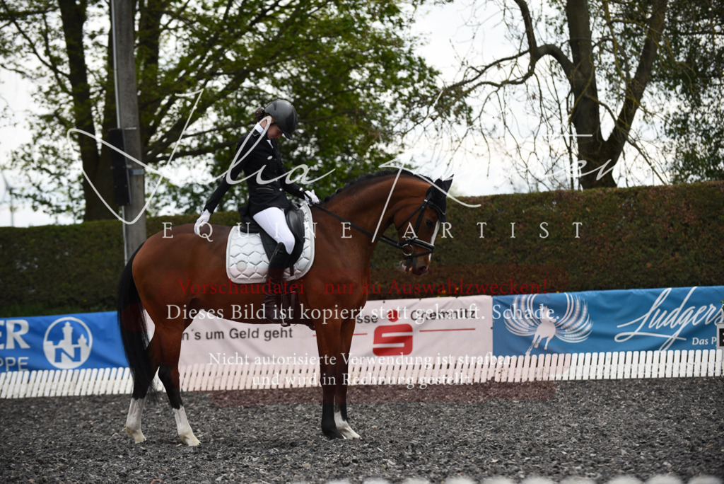 20230513_JK-Röhrsdorf-16-083 | Pferde- und Turnierfotografie in Westsachsen. Pferdeportraits, Auftragszeichnungen und intuitive Kunst.