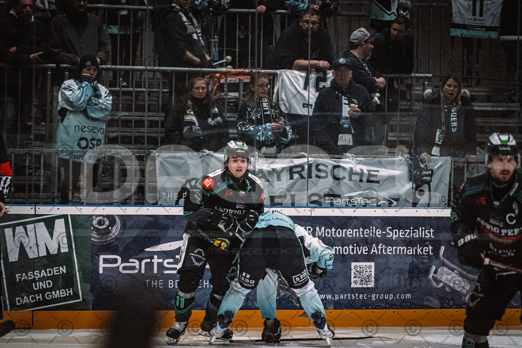 Alligators_vs_Lindau_21_12_2025-097 | Höchstadt Alligators Fotogalerie: Eishockey-Action aus Franken. Professionelle Spielfotos, Portraits & Stadionbilder zum Download. Jetzt entdecken! - Realisiert mit Pictrs.com