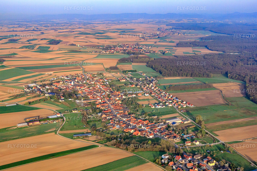 Luftbild: Ortsansicht von Osten in Niederlauterbach im Bundesland Bas-Rhin in Frankreich. – Foto: IMG_63624.jpg vom 30.03.2014 durch Werner Riehm/FLY-FOTO.de – Auflösung des Originals: 4752 x 3168 px